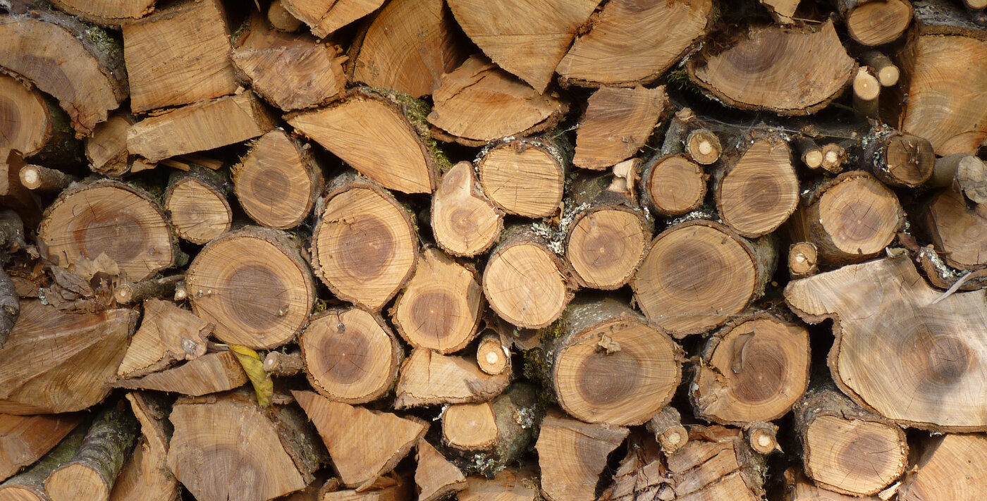 What Are Logs Used For In Real Life